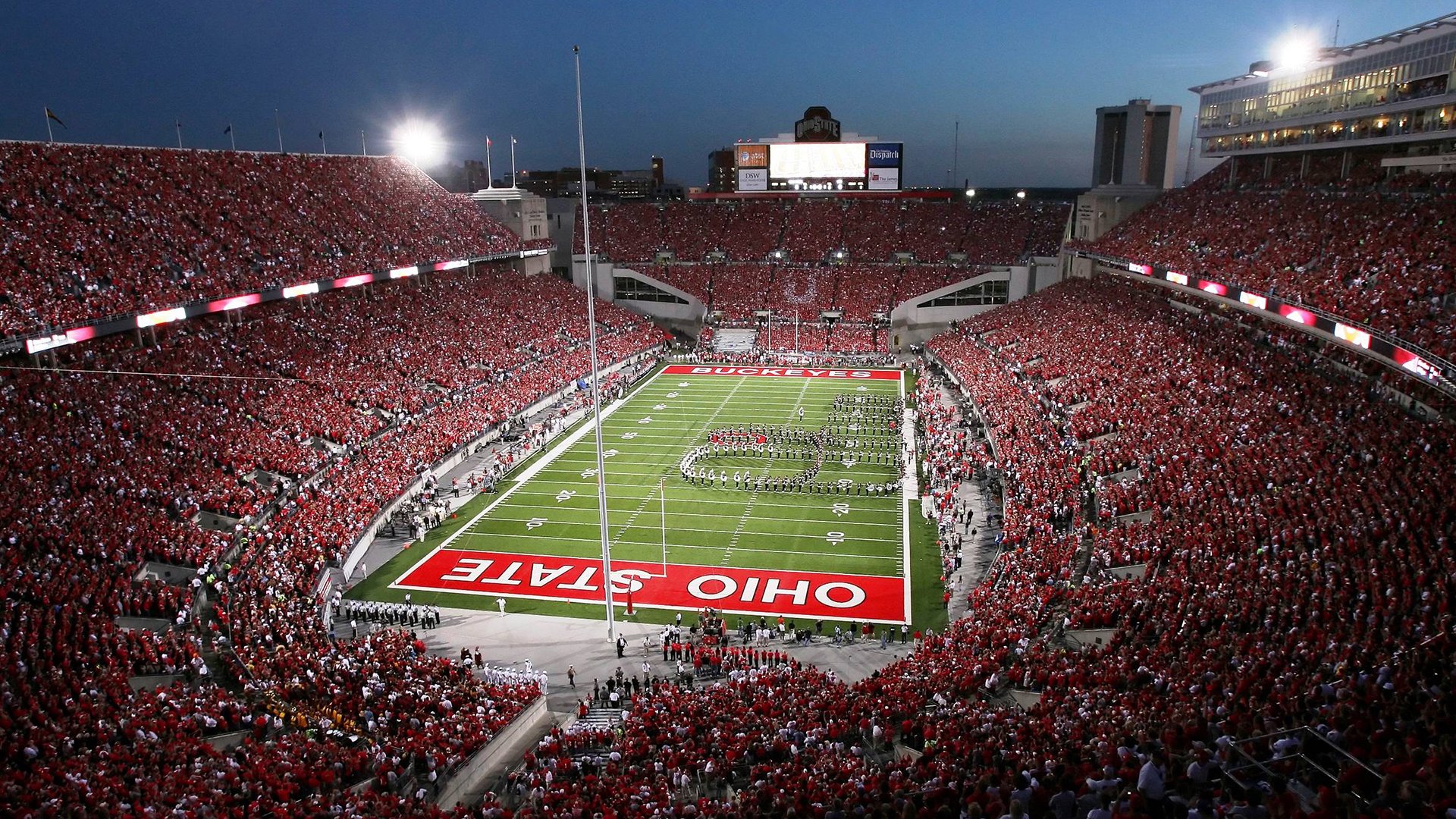 最萌球迷：他们的应援姿势火遍网络，篮球应援